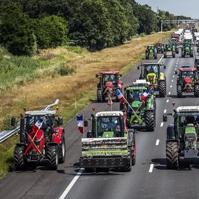 Jan Douwe van der Ploeg on Right wing farmers’ protests in the Netherlands  Promo Image