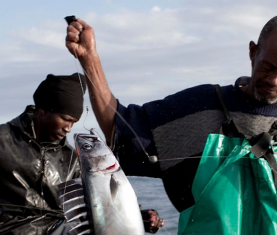 Episode 5: Small-scale fishers and the struggle for ‘blue justice’ Promo Image
