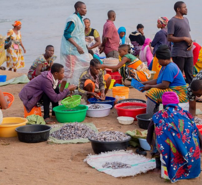Episode 9: Women, fish and COVID impacts on African food systems Promo Image